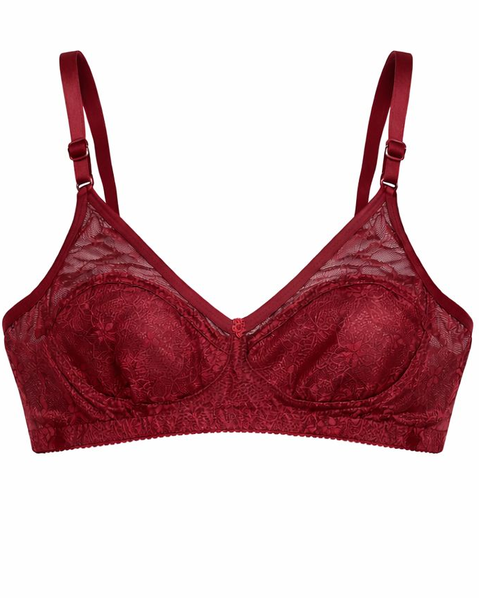 Comfort Luxe Lace Duo